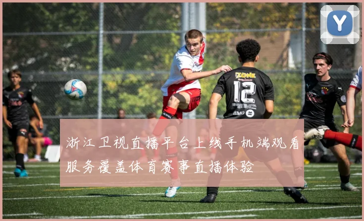 浙江卫视直播平台上线手机端观看服务覆盖体育赛事直播体验